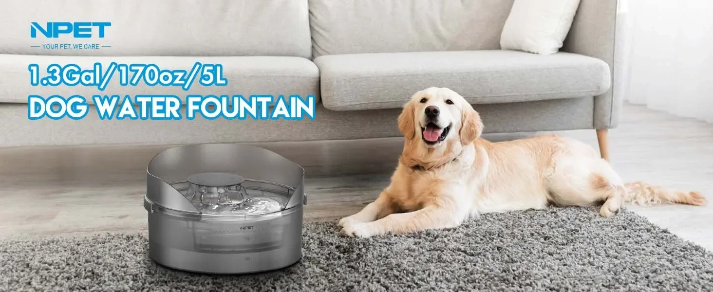 dog water fountain